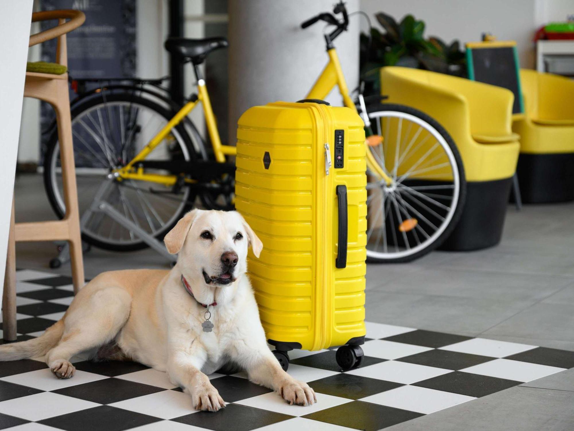 Отель Ibis Styles 3*